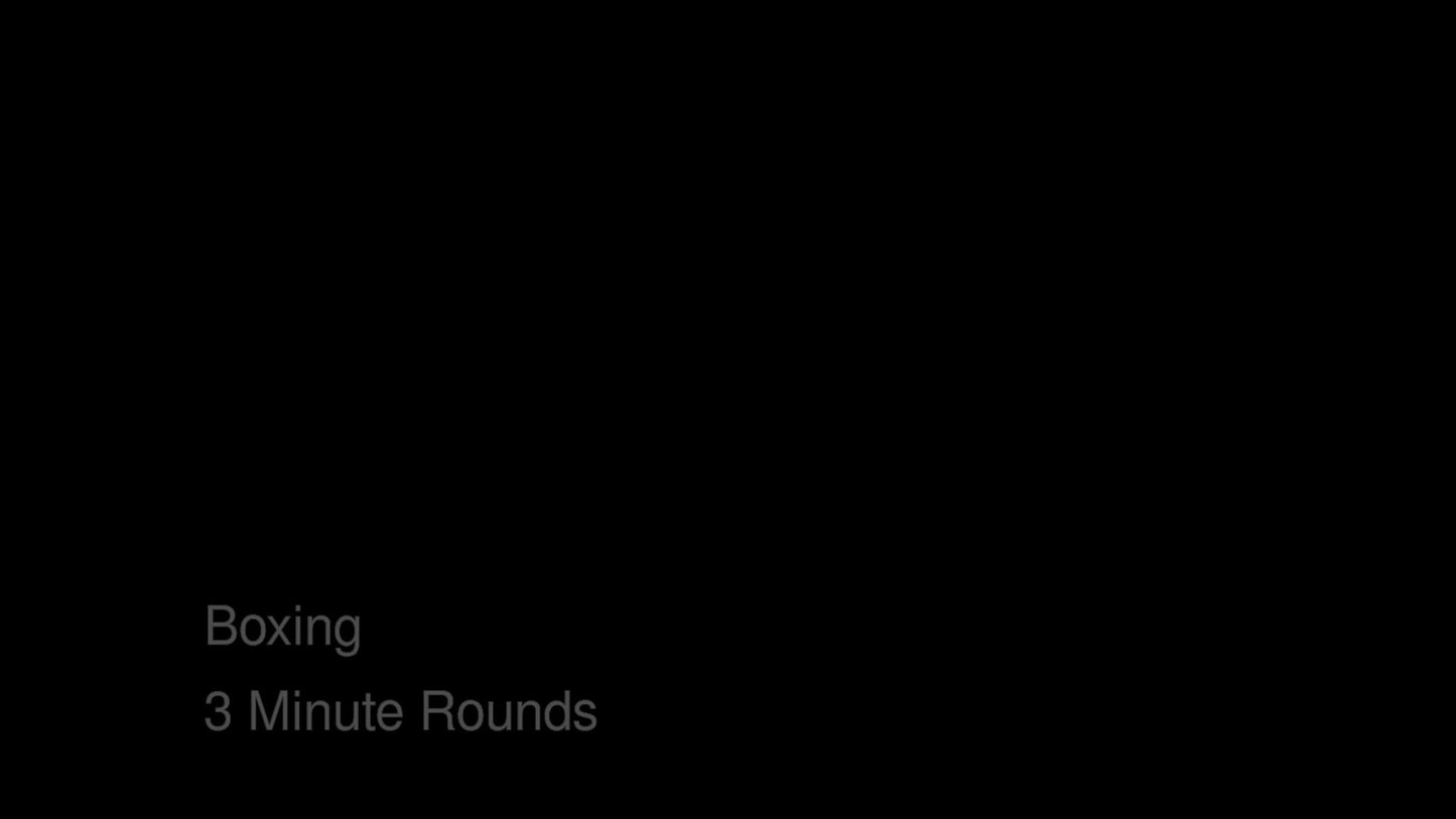 Bas Rutten's MMA Workout - Boxing - 3 Minute Rounds