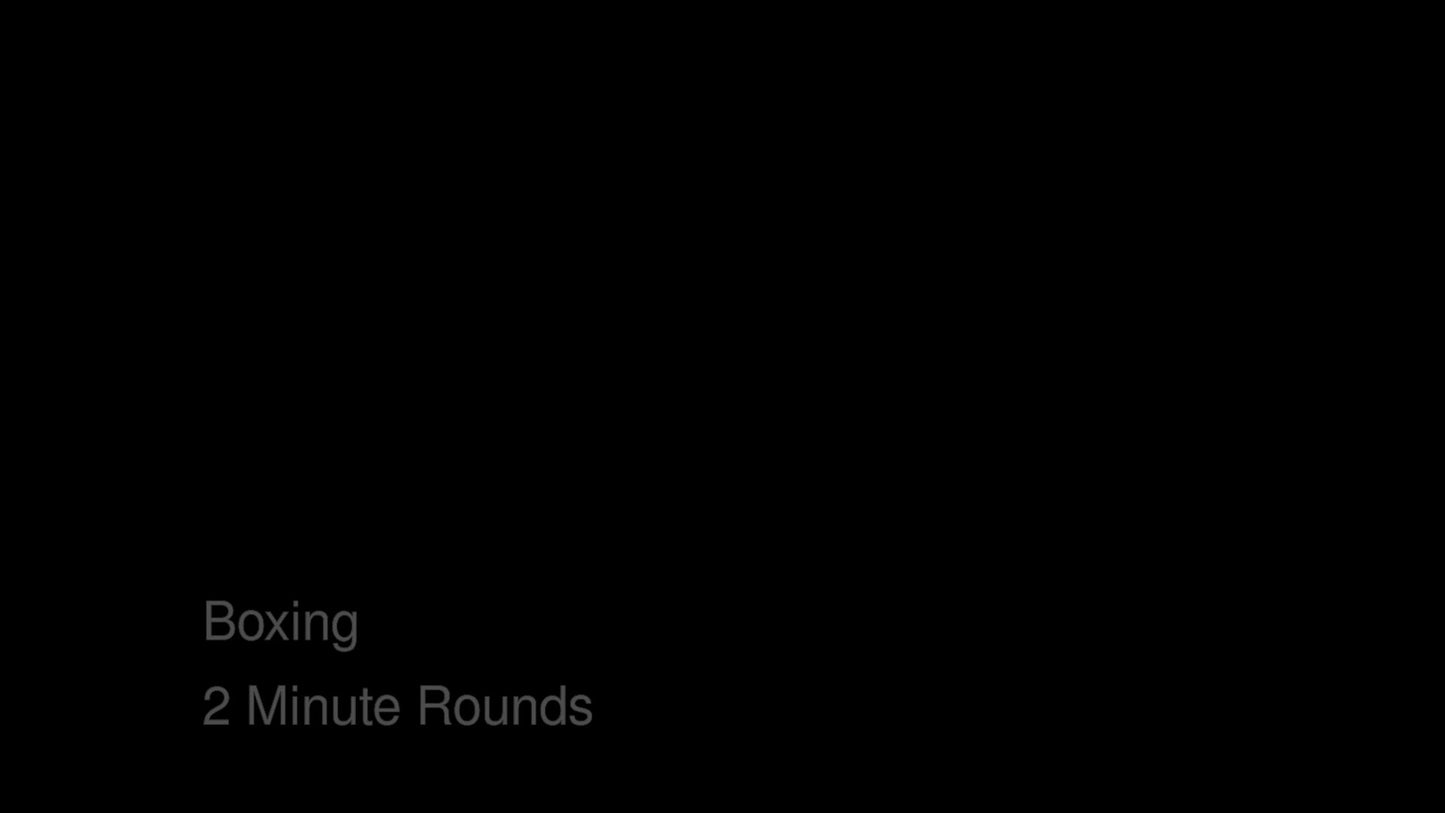 Bas Rutten's MMA Workout - Boxing - 2 Minute Rounds