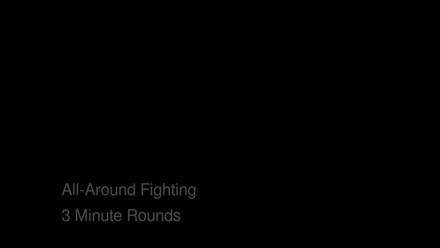 Bas Rutten's MMA Workout - All Around Fighting - 3 Minute Rounds